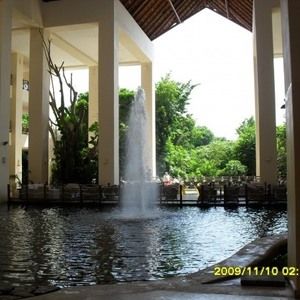 Meet your Posher, Tammy-lyn